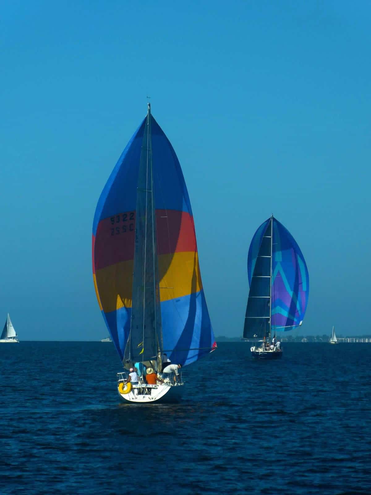 Summerset Regatta Summerset Regatta