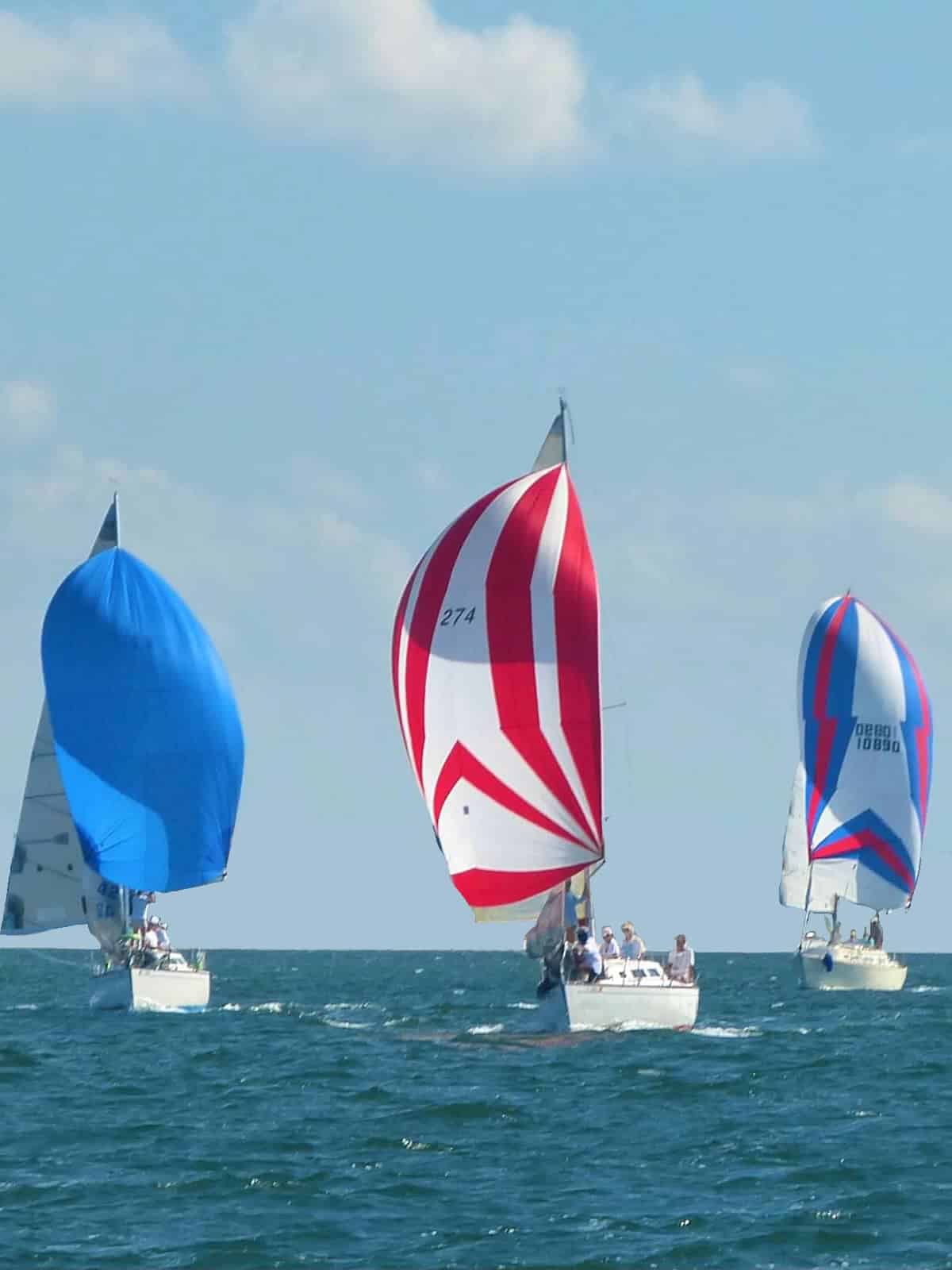 Sailing_Events_Fort_Myers_Cape_Coral