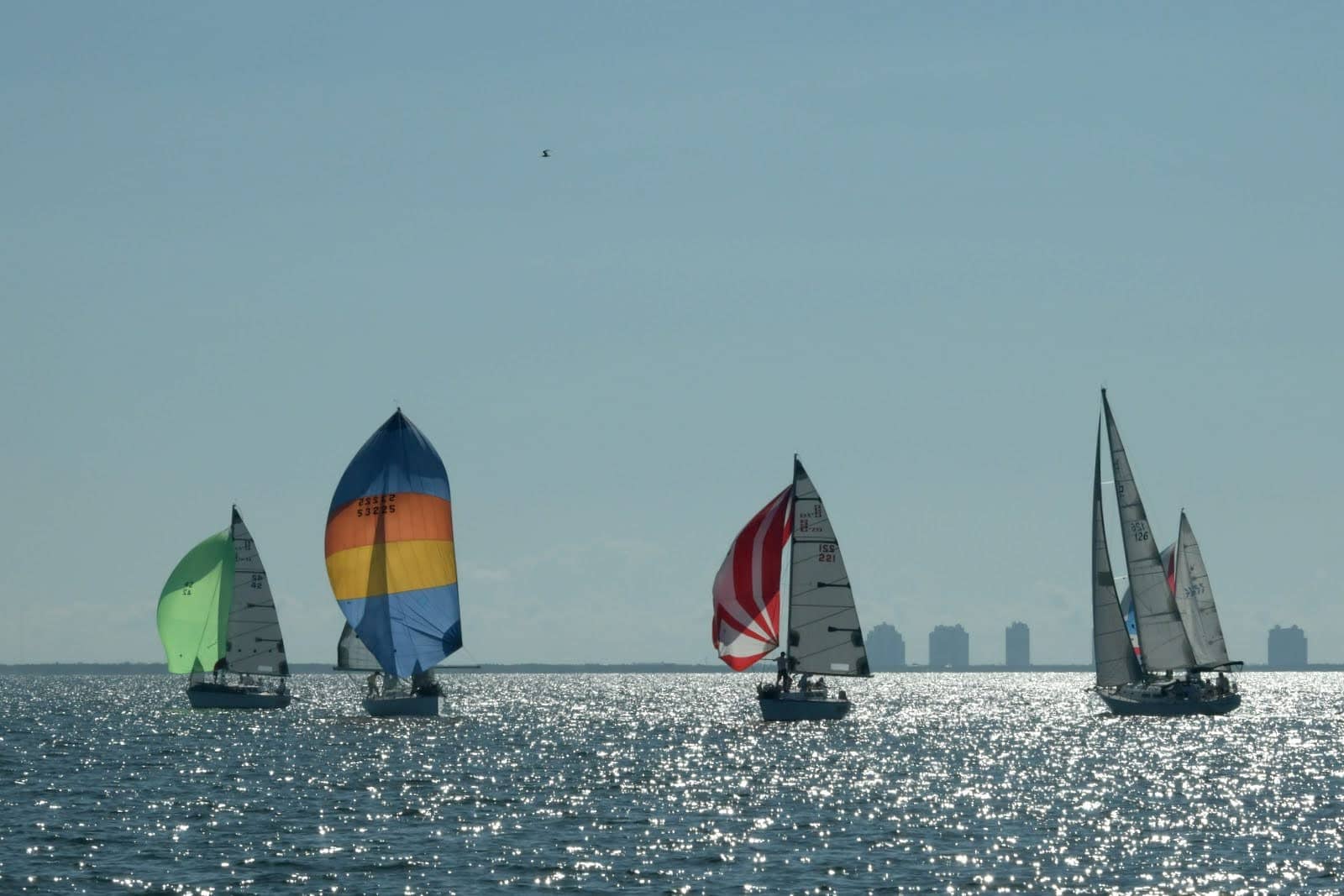 summerset-regatta-2023 summerset-regatta-2023